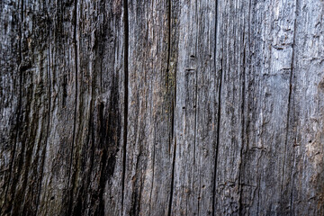 old weathered wooden background texture