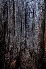 old weathered wooden background texture