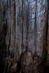 Obraz premium old weathered wooden background texture