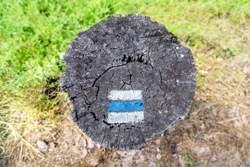 Blue tourist mark on tree stump in Slovakia (Europe). Tourist mark on wooden background. Czech and Slovak Hiking Markers System.