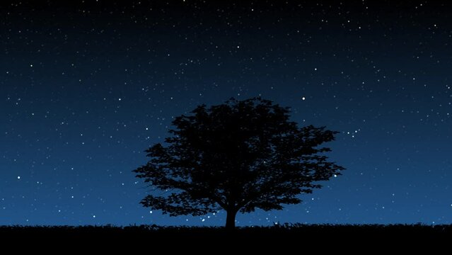 Silhouette of a tree against a starry background