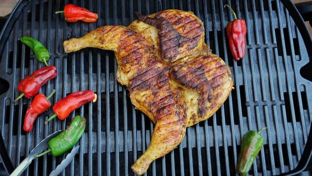 Cooking fried roast Chicken Tabaka on grill with vegetables.Tobacco whole chicken