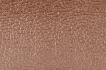 Brown leather