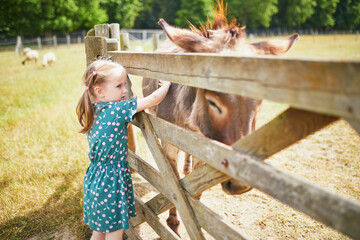 Adorable preschooler girl playing with donkey at farm