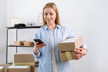 Ecommerce business owner holding parcel, checking delivery information in online app