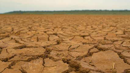 CLOSE UP, DOF: Ground cracks on brown desiccated land in Sarigua National Park