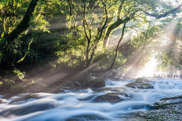 熊本・菊池渓谷の光芒