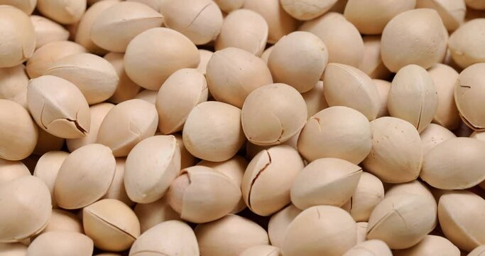 Fresh ginkgo seed nut close up