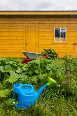 Garden tools - plastic watering cans and a metal cart on the grass on a summer day against the backdrop of a cottage wall.  Concept - gardening © Inna