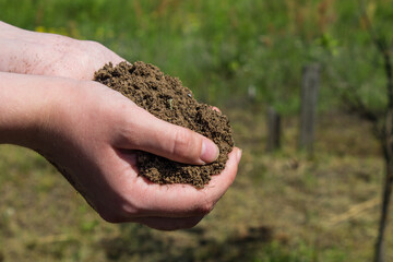 Human hands hold fertile earth against the backdrop of the countryside.  Concept - farming and...