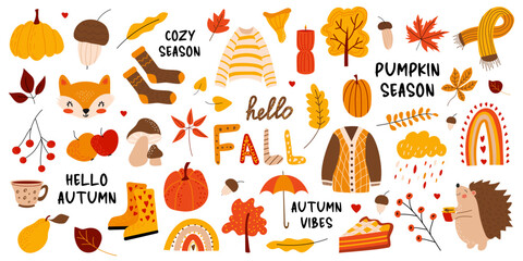 Large vector fall set. Autumn season. Leaves, acorns, sweater, scarf, pumpkins, candle, hedgehog, pie, rainbow, lettering. Collection of fall elements for scrapbooking. Hand drawn style.  - obrazy, fototapety, plakaty