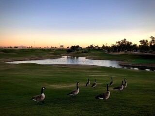 sunset over the river