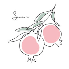 Branch with pomegranates and leaves. Shana Tova.