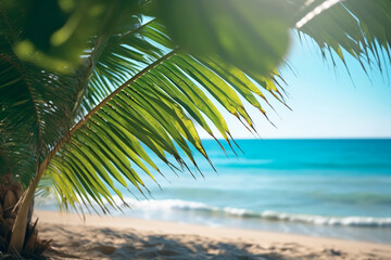 Tropical Paradise: Tranquil Beach View through Palm Leaves with Serene Blue Sea