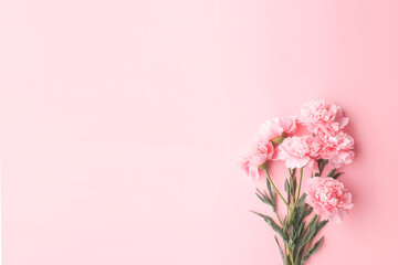 Obraz na płótnie Canvas Ethereal Beauty: Soft Pink Carnations on a Delicate Pink Background