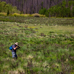 Person Taking Pictures of Flowers in a Forest Meadow