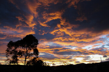 Atardecer con sombra de árbol y colores naranjas, grises. blancos y negros. 