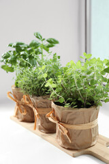 Fototapeta na wymiar Different fresh potted herbs on windowsill indoors
