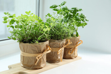 Fototapeta na wymiar Different fresh potted herbs on windowsill indoors