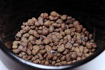 Flower drainage is poured at the bottom of the flower pot.  Transplanting indoor plants and flowers