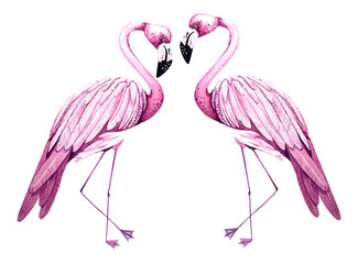 Watercolor pair of hand drawn pink flamingos