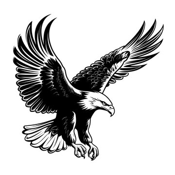 soaring black and white eagle clip art preview