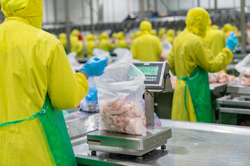 Employees weighing raw chicken parts in bags.