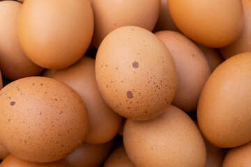 a group of eggs stacked on top of others, seen from very close and overhead, with eggs distinctive for spots