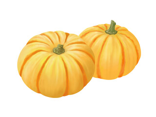 2個のプッチーニカボチャの水彩イラスト