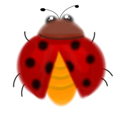 ladybird illustration