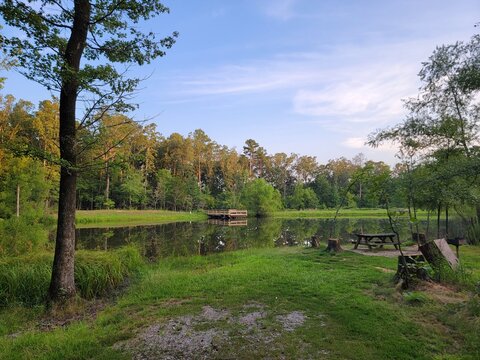 Pond at Caddo-Womble Ranger Station in Ouachita National Forest