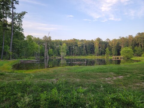 "Ouachita National Forest" Images – Browse 196 Stock Photos, Vectors