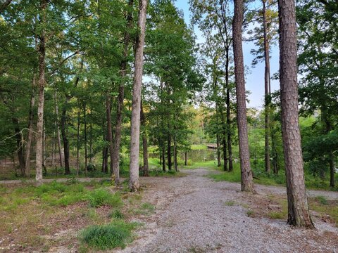 Trail through Trees in Ouachita National Forest, Arkansas