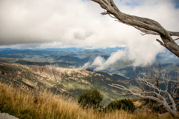 Mount Buffalo National Park, Victoria. Australia. Australian Alps views from the Horn picnic area....