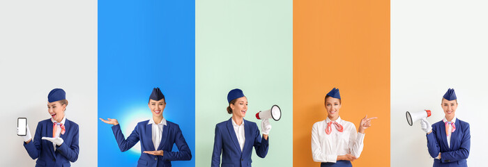 Set of beautiful stewardess on color background