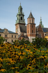 Summer view of Wawel Royal Castle in Krakow, Poland. Historically and culturally important site in Poland. Flowers on foreground. Beautiful sightseeing with Wawel Royal Castle and colorful flowers in