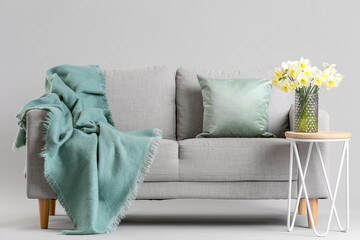 Cozy sofa and coffee table with narcissus flowers in vase on grey background