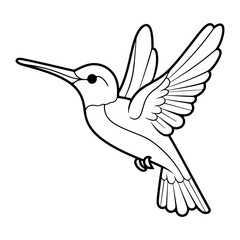 Hummingbird Illustration. Hummingbird Line Sketch