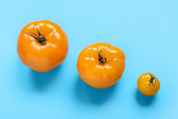 Fresh tomatoes on blue background
