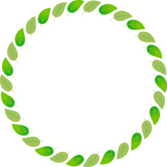 緑の葉っぱのリースのベクターフレーム画像