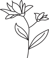 Botanical Lineart Clipart Wildflowers Clipart Floral Line Art Pencil Drawing Herbs Illustrations Minimalist Bouquets Wreath Leaves Flowers
