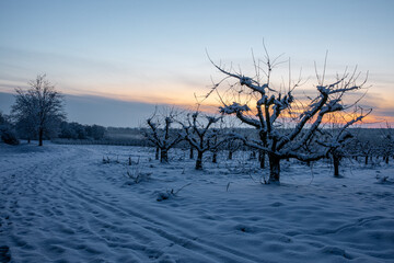 Sonnenuntergang in einer Winterlandschaft