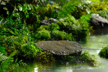 Nature scene with empty stone pedestal on water. Surrounded by green vegetation with mosses, ferns,...