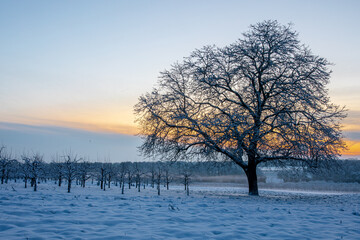 Sonnenuntergang in einer Winterlandschaft
