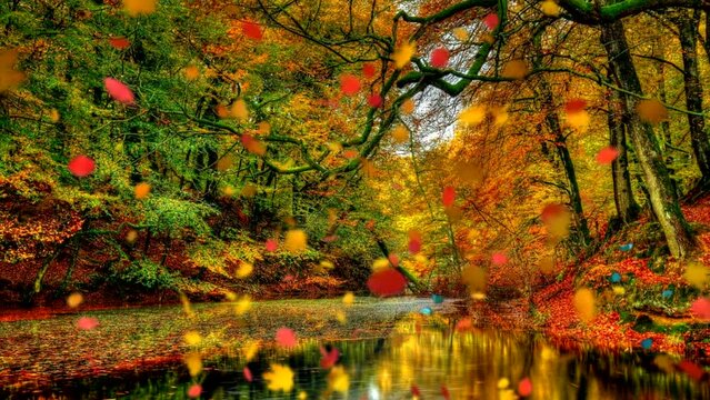 Beautiful autumn fantasy landscape with trees and river. Colorful leaves fall down. Seamless looping video animated background.