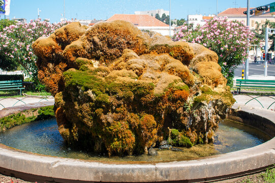 Turtles fountain (Fontana s kornjačama) in Perivoj Luje Maruna in  &Scaron;ibenik in the state of &Scaron;ibenik-Knin Croatia