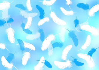 羽の舞う背景 白とブルー
