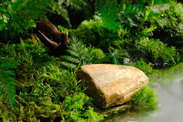 A stone podium with background of tropical forest with many fresh green leaves. Empty space on the podium for beauty product promotion