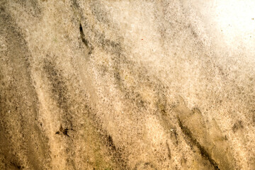 Close-up view of a marble floor