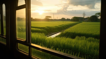 View of rice fields from the window of a train at sunrise